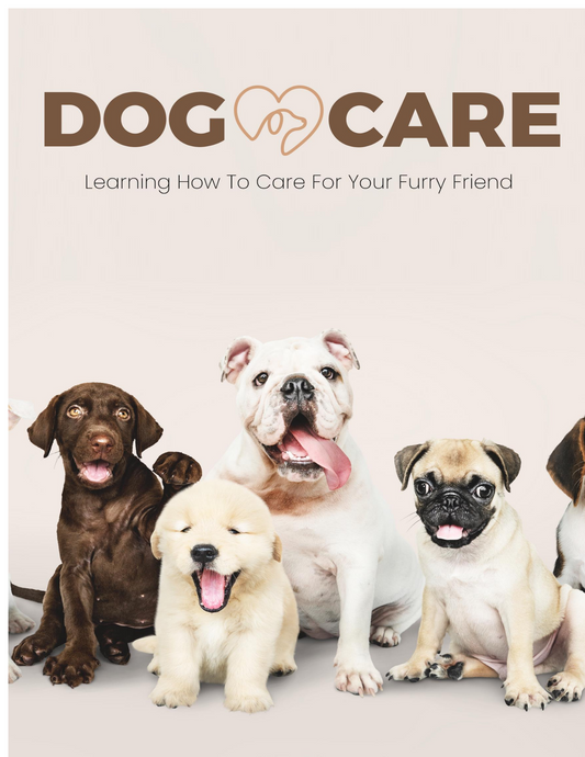 Dog Care